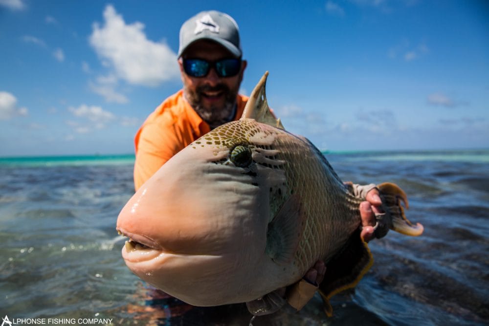 Alphonse Island, Seychelles, Aardvark McLeod