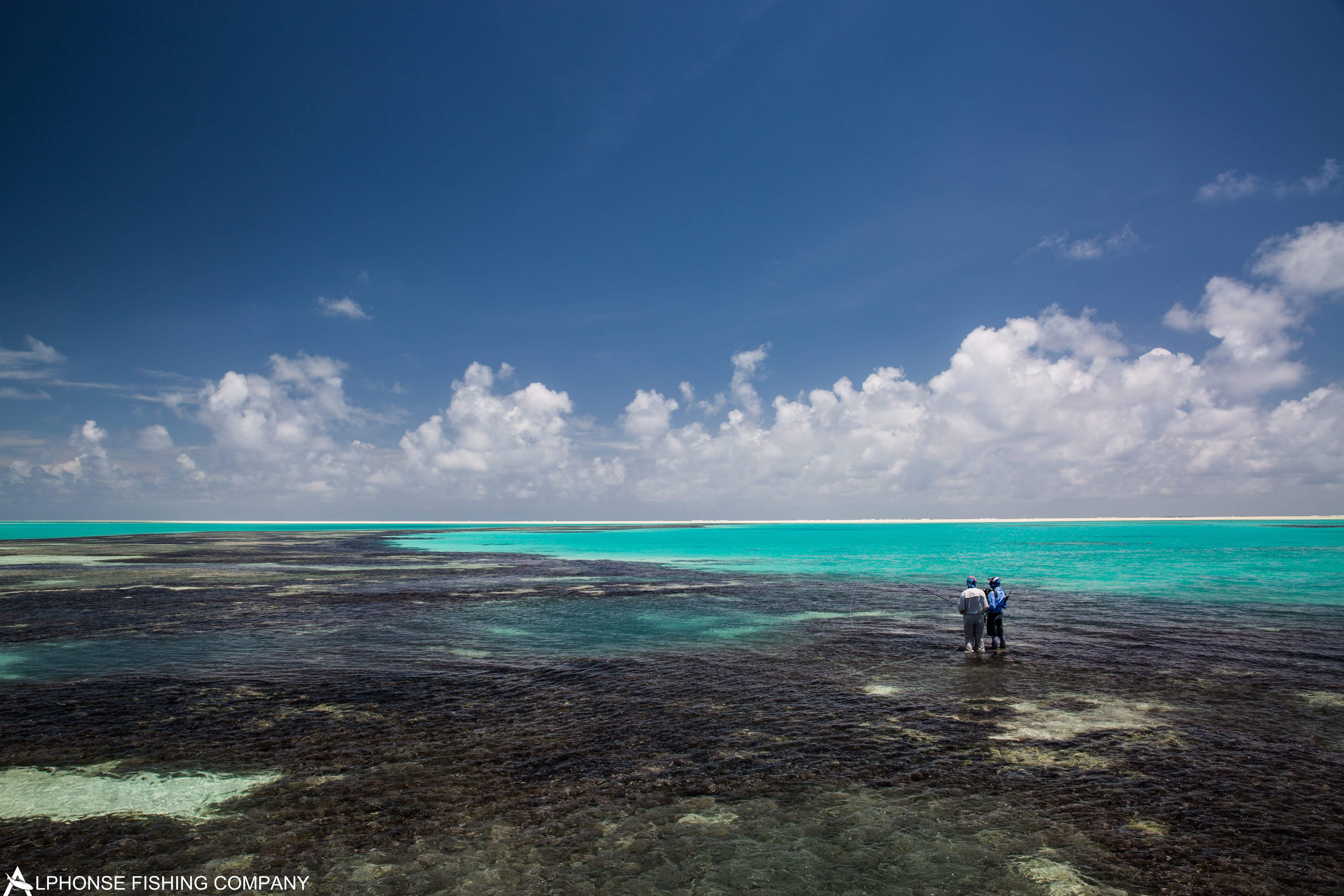 Alphonse Island, Seychelles, Aardvark McLeod