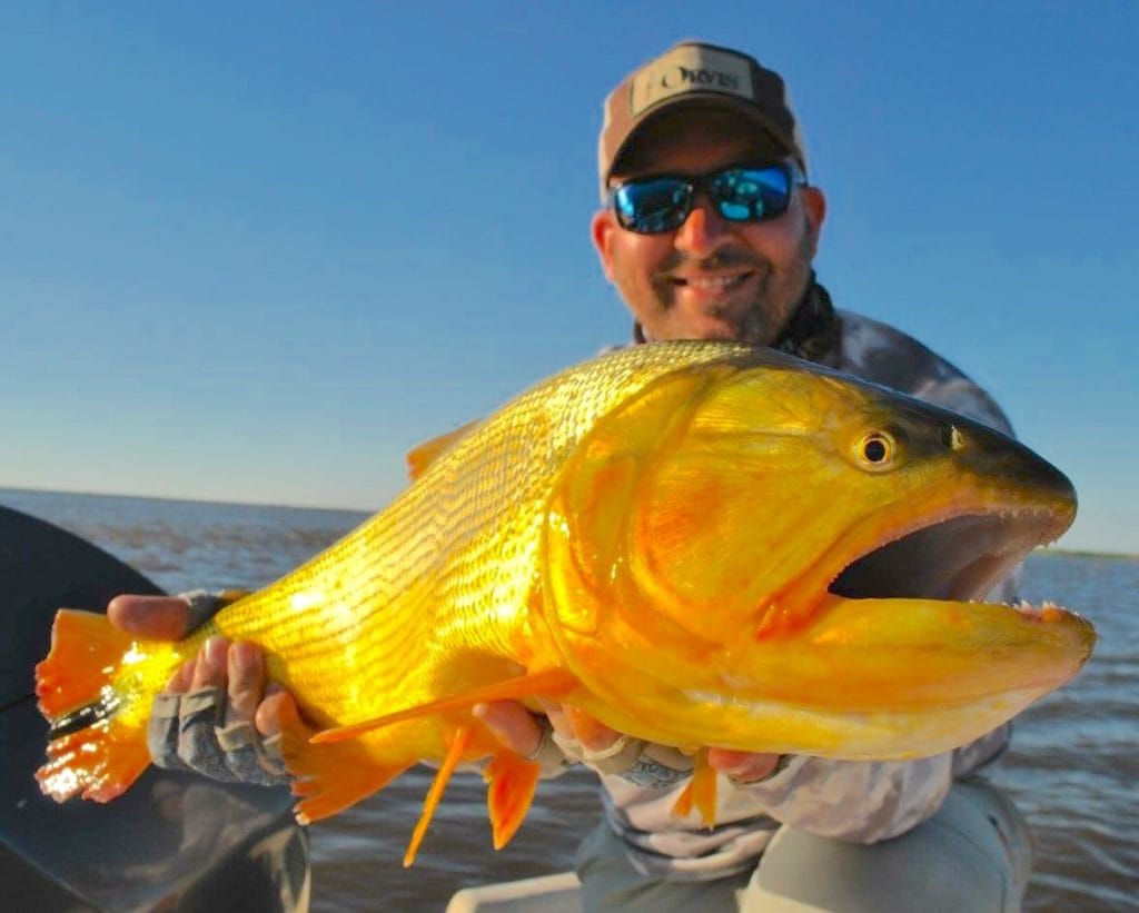 dorado river cruiser, dorado fishing mothership, estancia laguna verde, dorado fishing argentina, dorado fishing buenos aires, brett o'connor, golden dorado, dorado fishing with fly, fly fishing argentina, dorado river cruiser mothership, aardvark mcleod