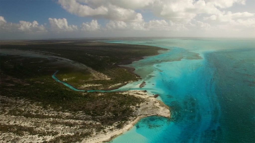 Crooked island, acklins island, bahamas, bahamas fishing, crooked acklins trophy lodge, bonefish, permit, tarpon, triggerfish, fly fishing, aardvark mcleod