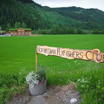 Gaula River, Norwegian Flyfishers Club, NFC, Norway, Atlantic salmon