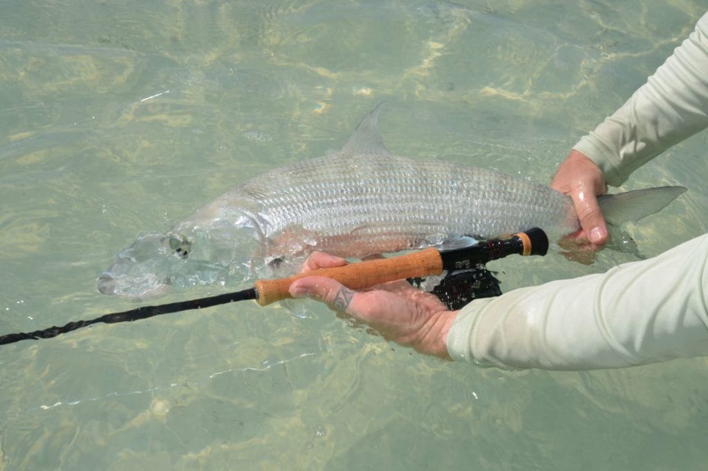 Tarpon, Bonefish, Permit, Aardvark McLeod, Triggerfish, flats fishing, Acklins Island, Crooked Island, fly fishing Bahamas, bahamas fishing, remote fishing bahamas, crooked island fishing lodge, acklins island fishing lodge