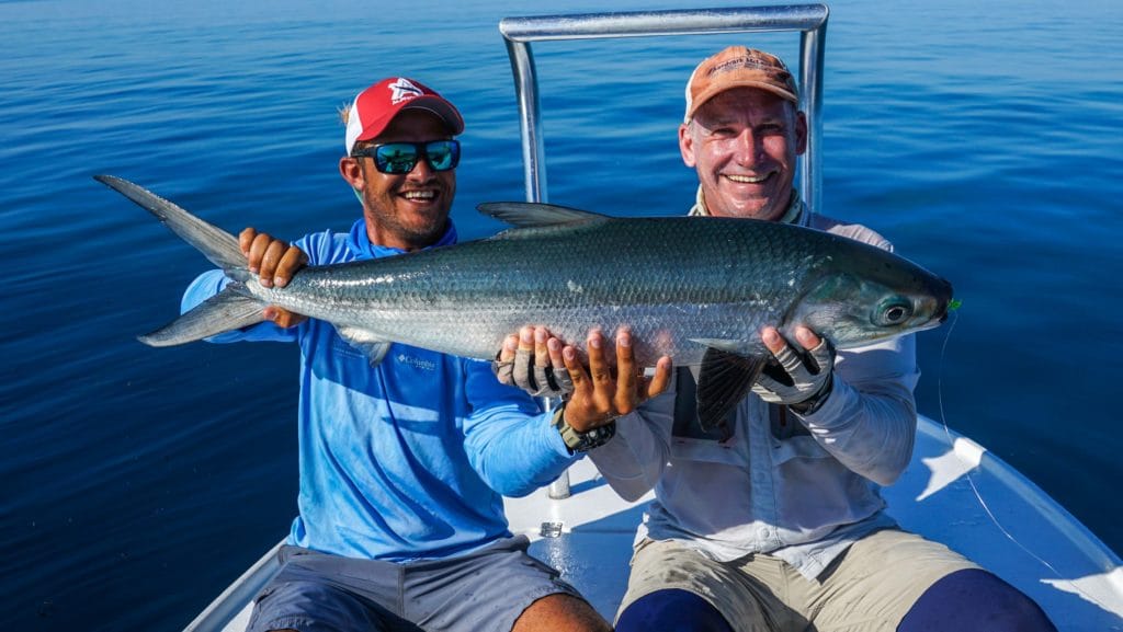 Alphonse Island Seychelles fishing Aardvark McLeod