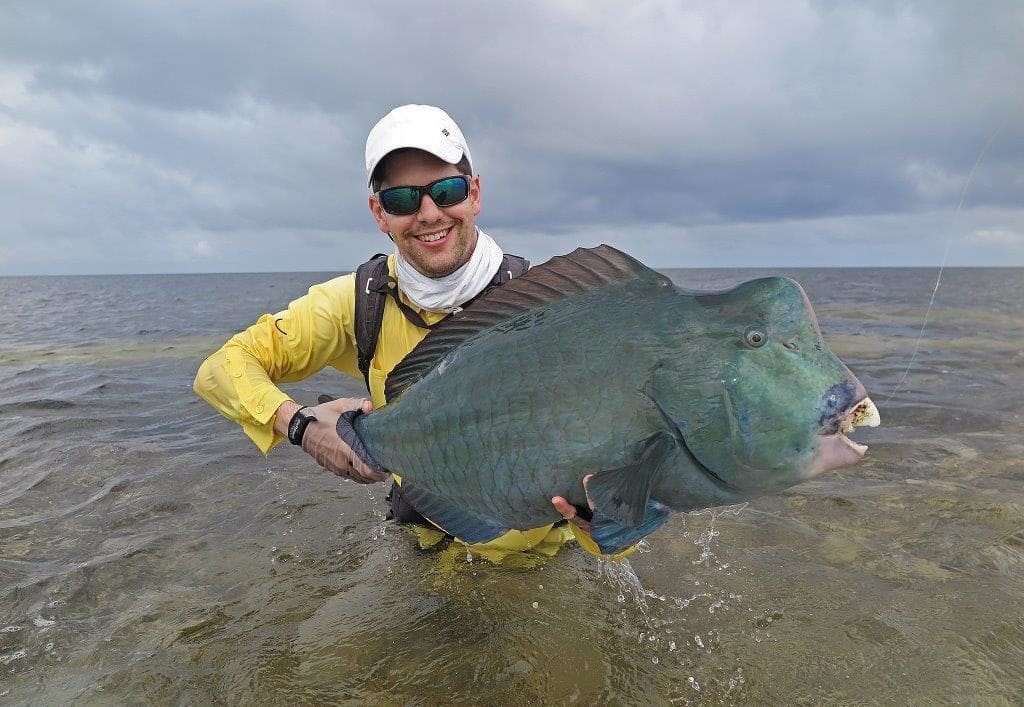 Providence atoll Seychelles Aardvark McLeod bumphead parrotfish