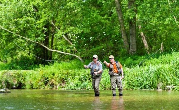 River Avon, Brown Trout, Chalkstream Fishing, Aardvark McLeod, learn to fish