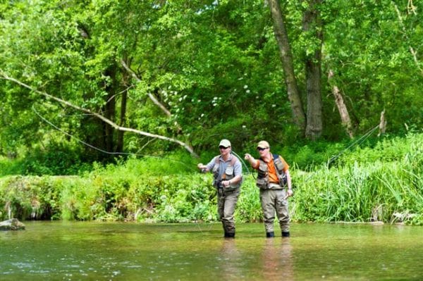 River Avon, Brown Trout, Chalkstream Fishing, Aardvark McLeod, learn to fish