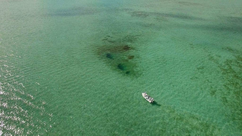 Tarpon, Bonefish, Permit, Aardvark McLeod, Triggerfish, flats fishing, Acklins Island, Crooked Island, fly fishing Bahamas, bahamas fishing, remote fishing bahamas, crooked island fishing lodge, acklins island fishing lodge