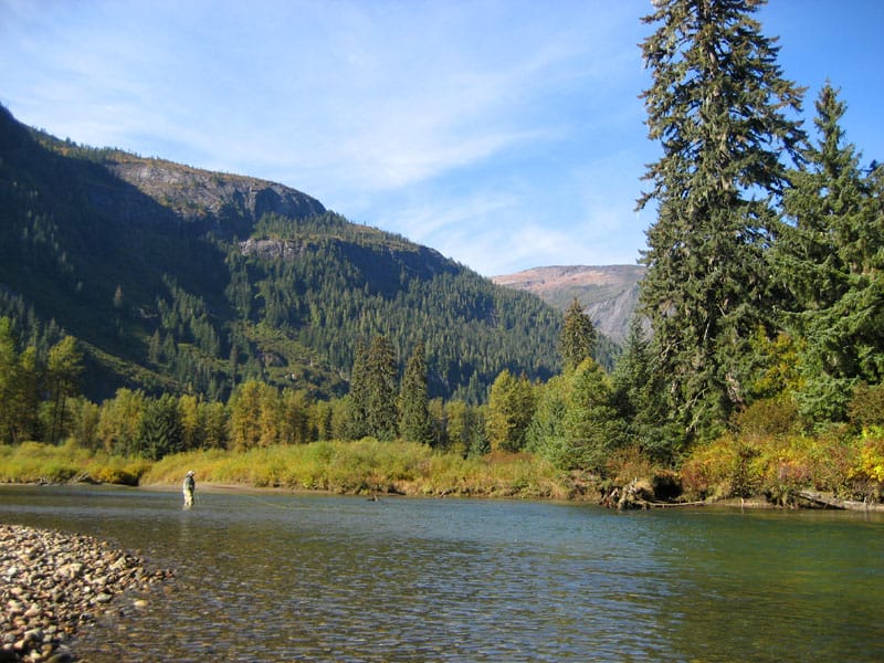 Canada, British Columbia, Kalum River Lodge, Aardvark McLeod