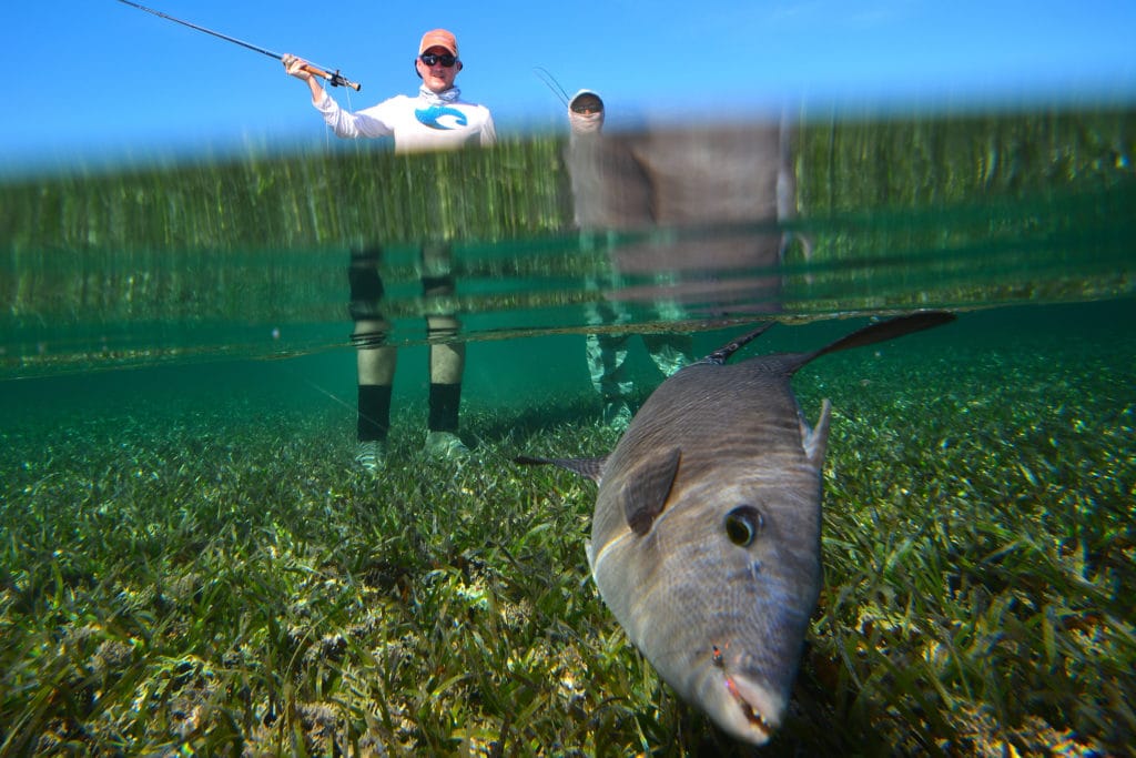 Crooked Island, Bonefishing, The Bahamas, Saltwater fishing