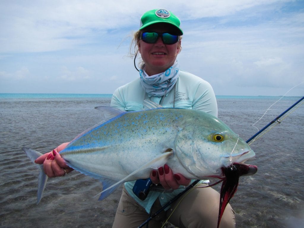 Alphonse Island Seychelles fishing holiday Aardvark McLeod triggerfish