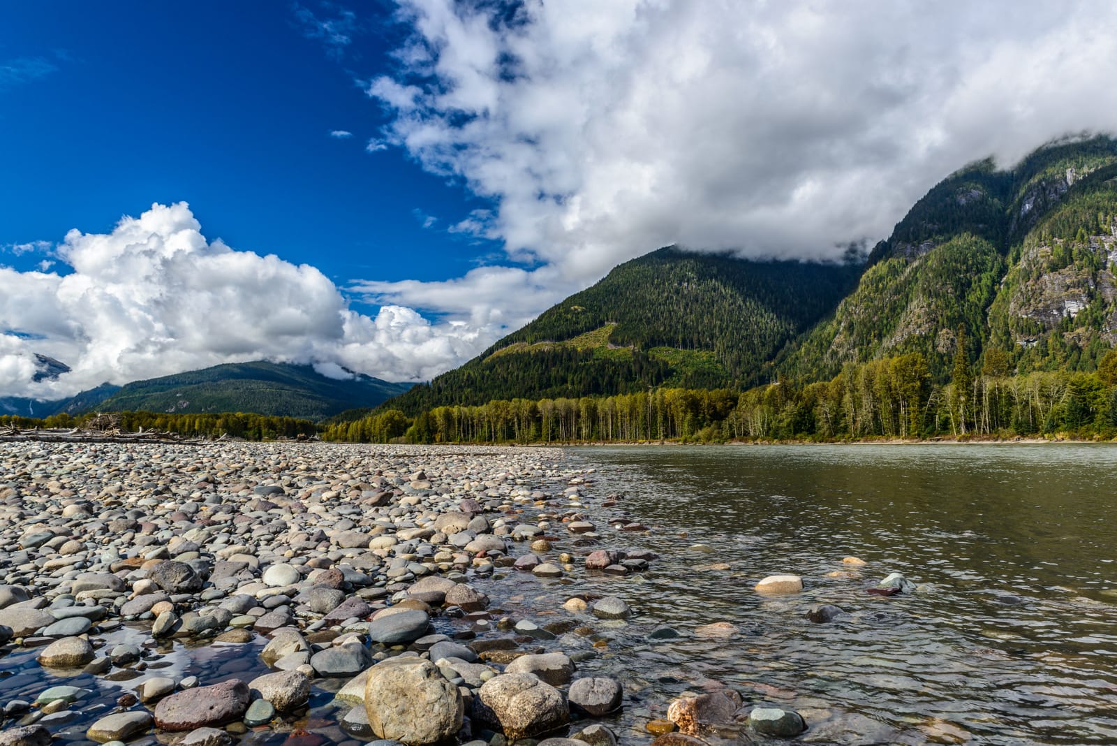 Nicholas Dean, British Columbia, Skeena Camp, steelhead, salmon