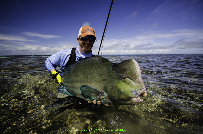 Bumphead parrotfish, Farquhar Atoll, Seychelles, Aardvark McLeod