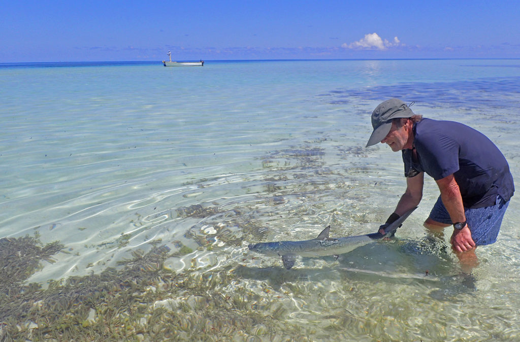 Farquhar Atoll Seychelles fishing holiday Aardvark McLeod