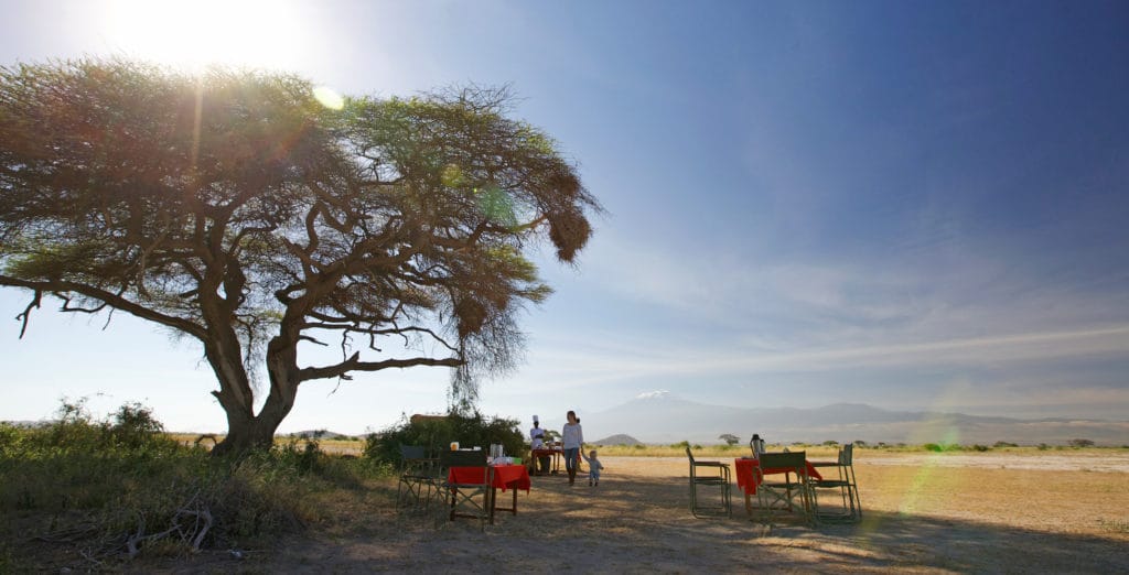 Tortilis Camp Kenya Safari Aardvark McLeod