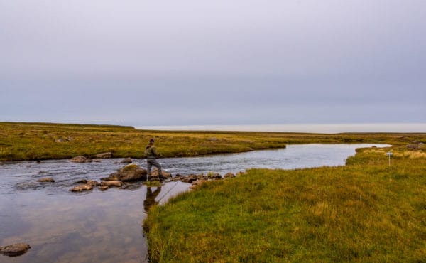 Deildara, Iceland, Salmon Fishing, Aardvark McLeod