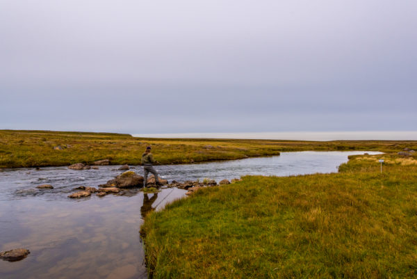 Deildara, Iceland, Salmon Fishing, Aardvark McLeod