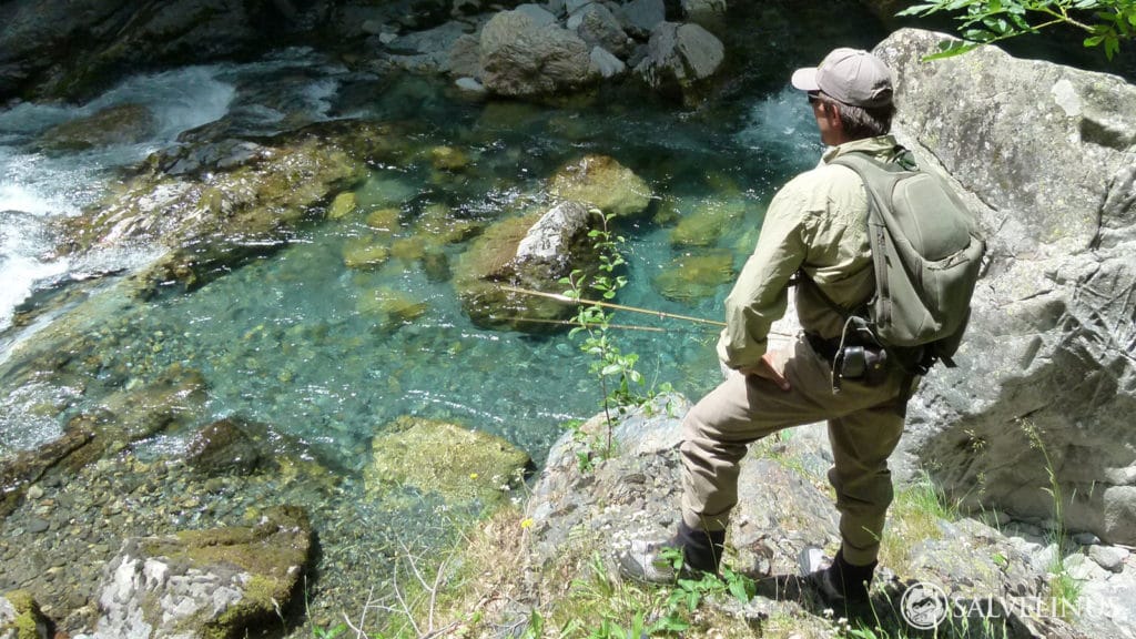 Salvelinus, spain, fly fishing, pyrenees, trout