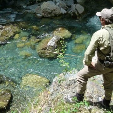 Salvelinus, spain, fly fishing, pyrenees, trout