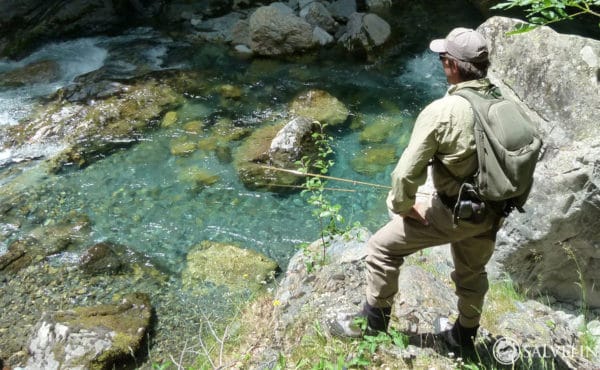 Salvelinus, spain, fly fishing, pyrenees, trout