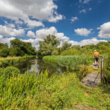 Mayfly, chalkstream, river test, river anton, river avon,