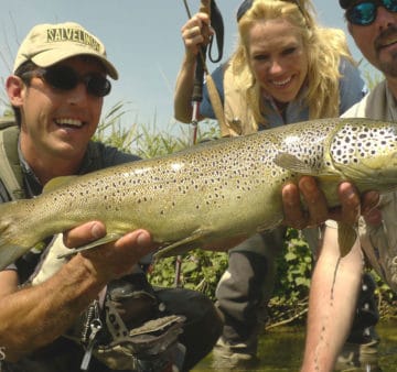 Salvelinus, spain, fly fishing, pyrenees, trout