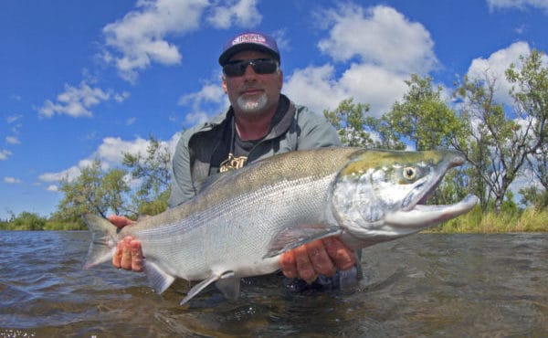 Alaska Trophy Advenute Lodge, ATA Lodge, Aardvark McLeod, king salmon, pacific salmon, dolly varden, graying, trout, char