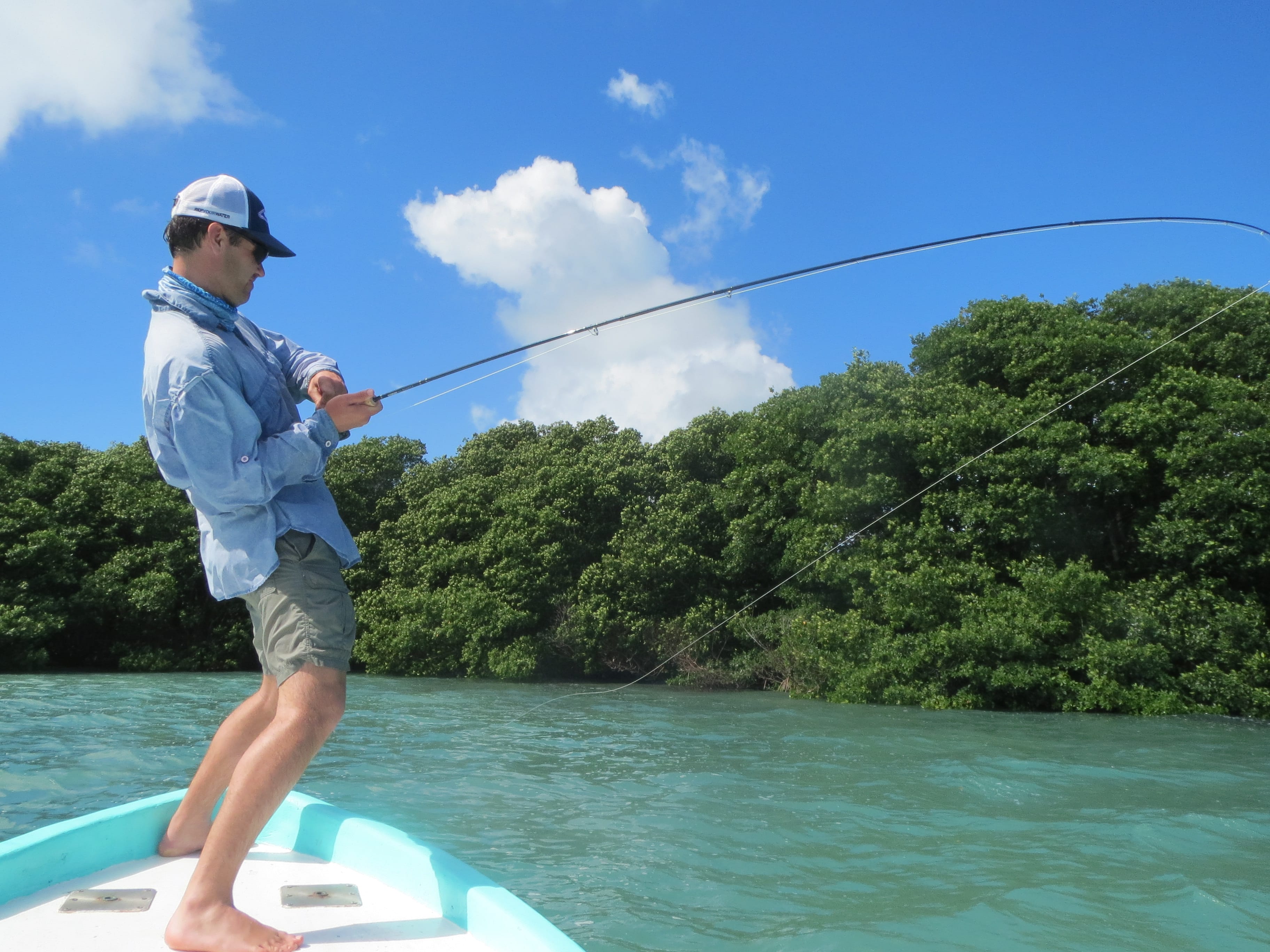 Long Caye Outpost, Belize River Lodge, Belize, Aardvark McLeod