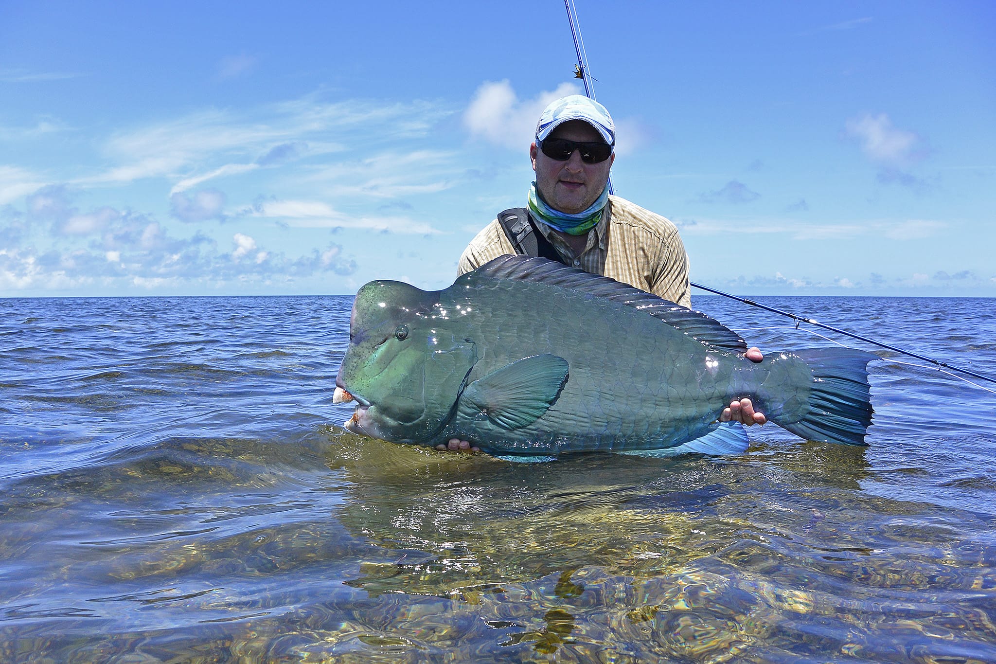 Providence Atoll, Seychelles, Aardvark McLeod