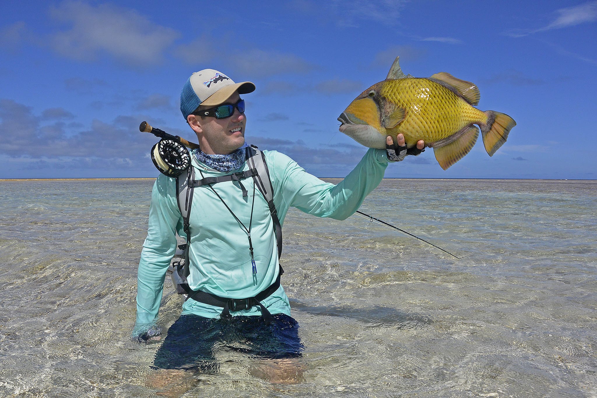 Providence Atoll, Seychelles, Aardvark McLeod