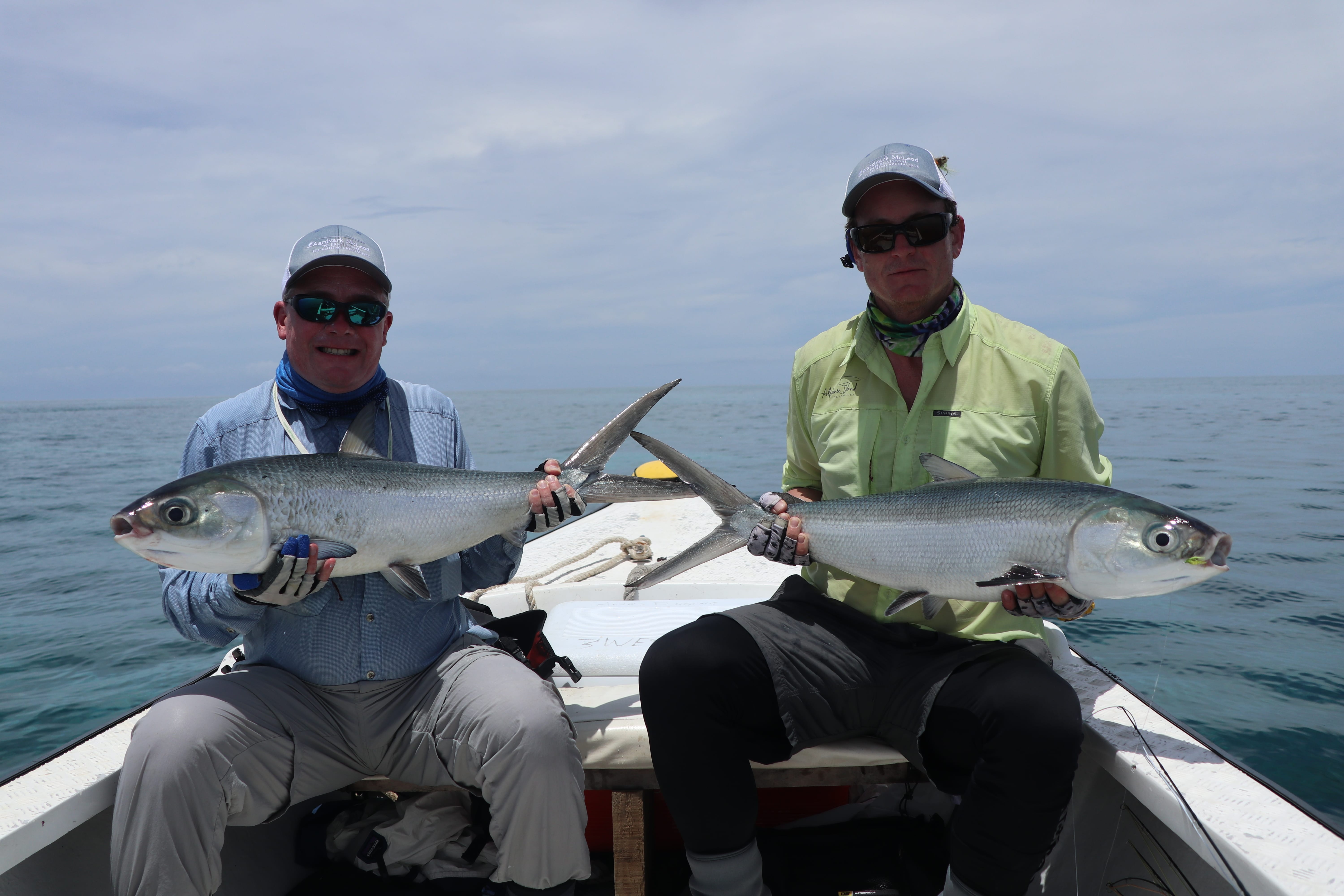 Milkfish Double up, Providence Atoll, Seychelles, Aardvark McLeod