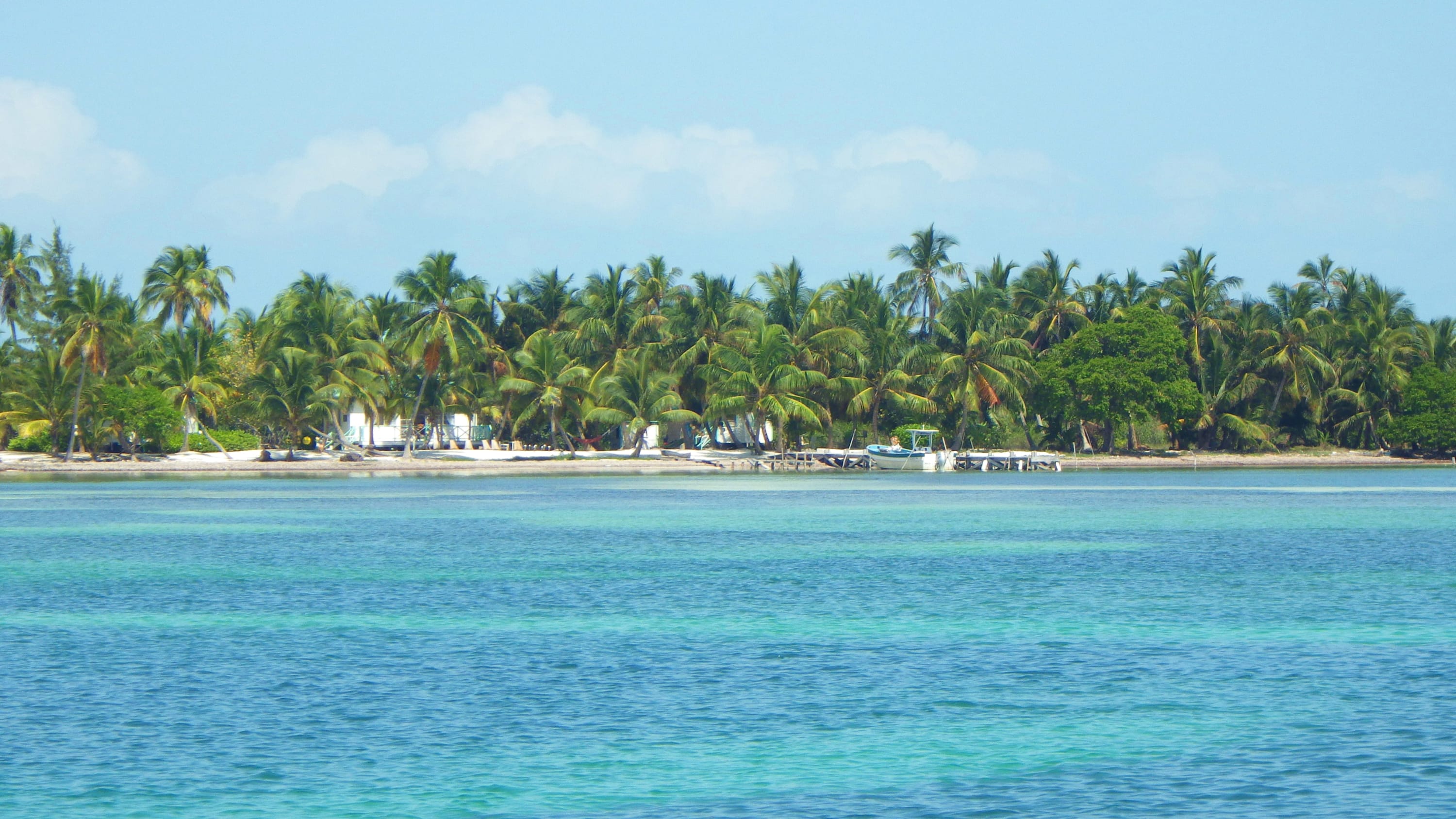 Long Caye Outpost, Belize River Lodge, Belize, Aardvark McLeod