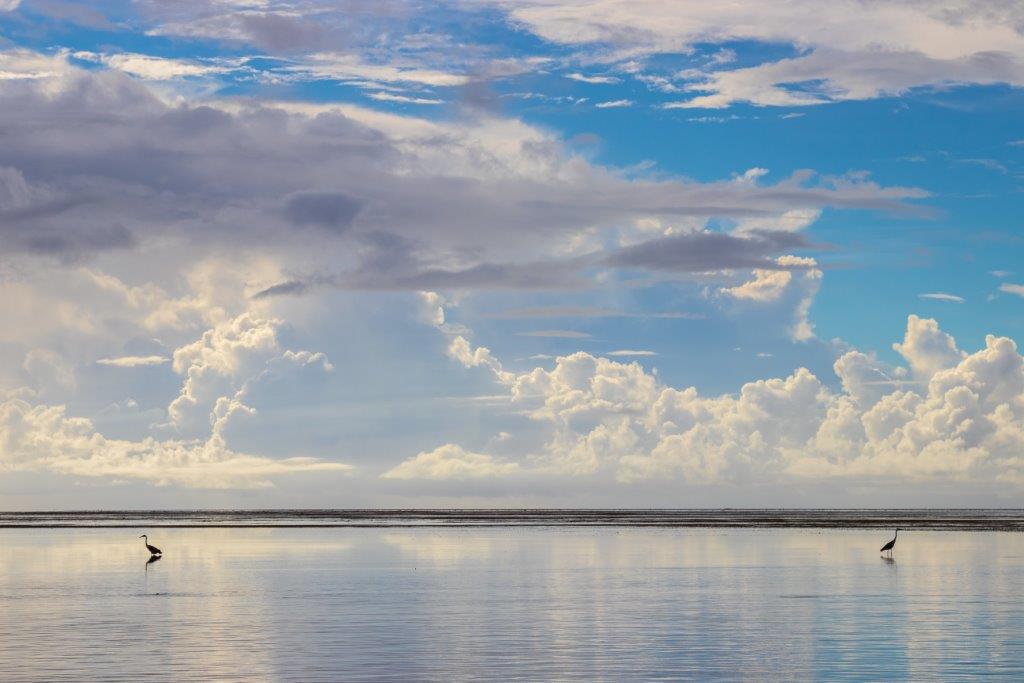 Providence Atoll, Seychelles, Aardvark McLeod 