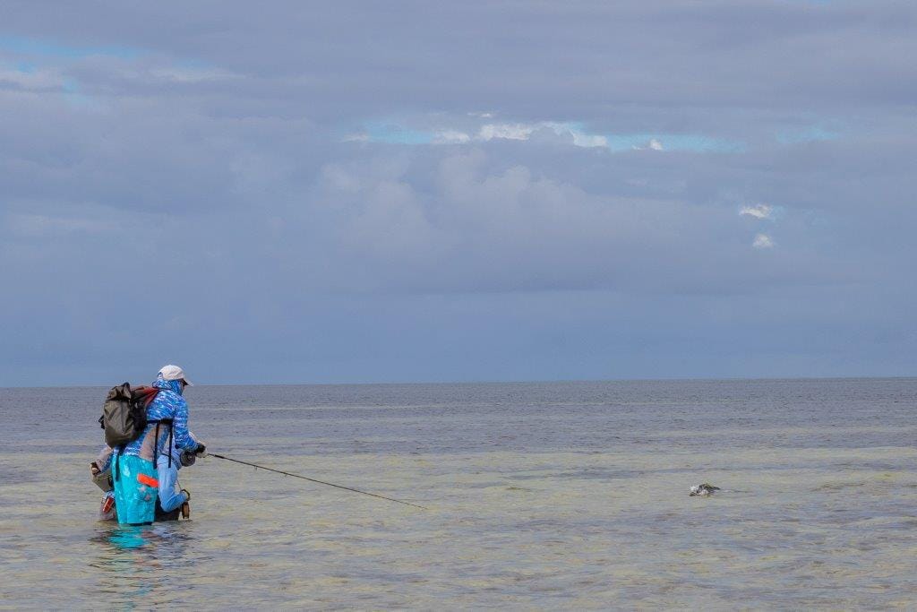 Providence Atoll, Seychelles, Aardvark McLeod