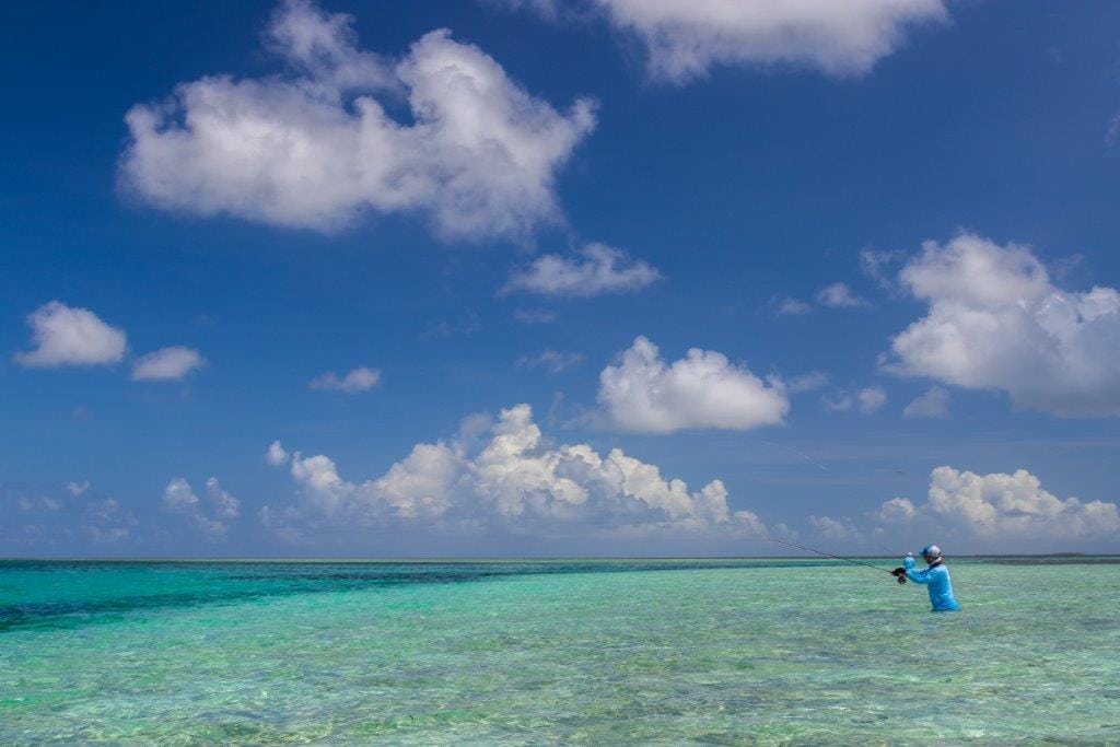 Providence Atoll, Seychelles, Aardvark McLeod