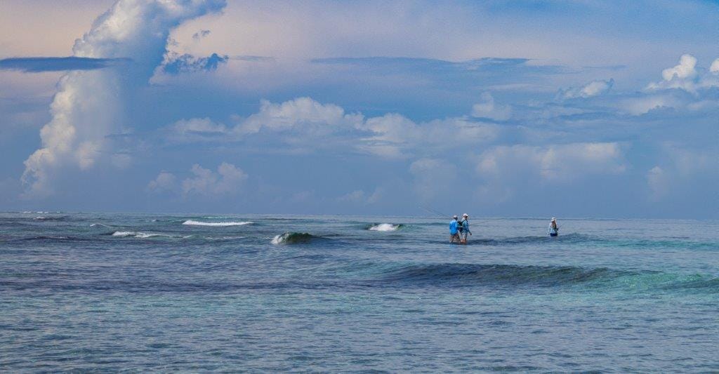 Providence Atoll, Seychelles, Aardvark McLeod