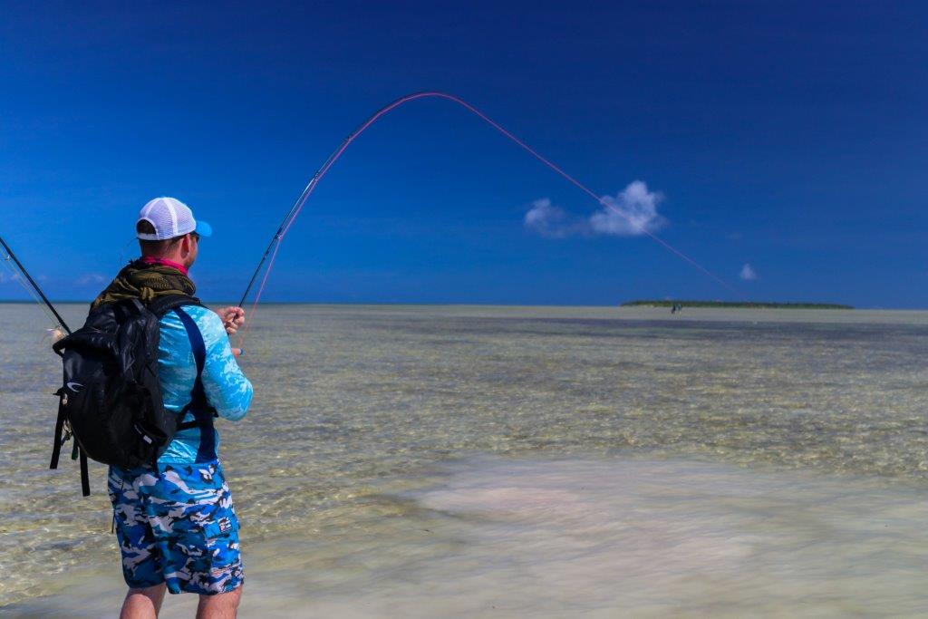 Providence Atoll, Bonefish, Seychelles, Aardvark McLeod