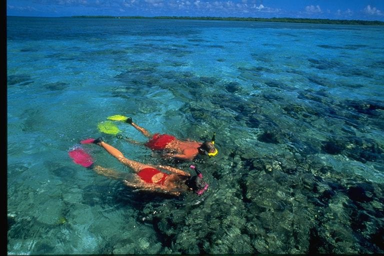 Turneffe Island Resort, Belize, Aardvark McLeod