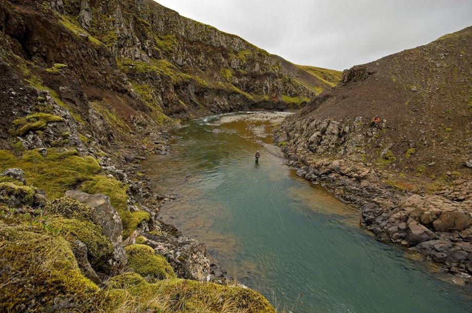 Midfjardara, salmon fishing, Iceland, Iceland Guide