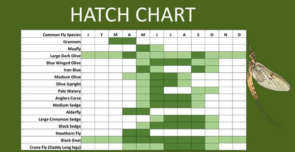 https://www.aardvarkmcleod.com/wp-content/uploads/2017/04/hatch_chart.jpg