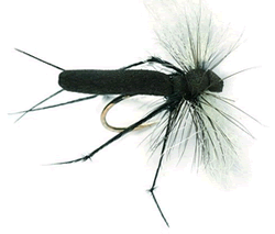 Hawthorn Fly Imitation - Chalkstream Flies- Aardvark Mcleod, Chalkstreams