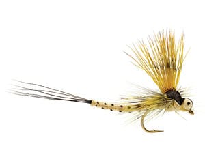 Mohican Mayfly