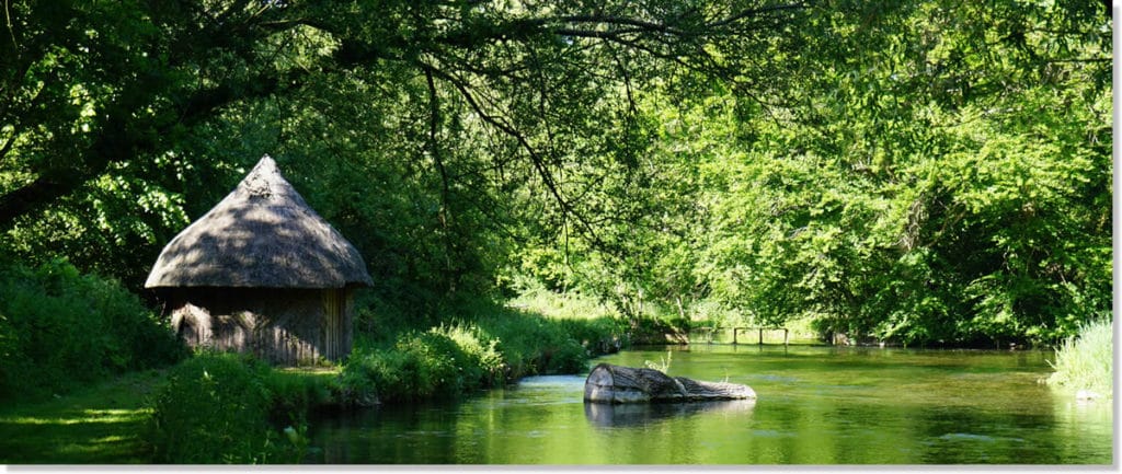 Mayfly Fishing, Mayflies