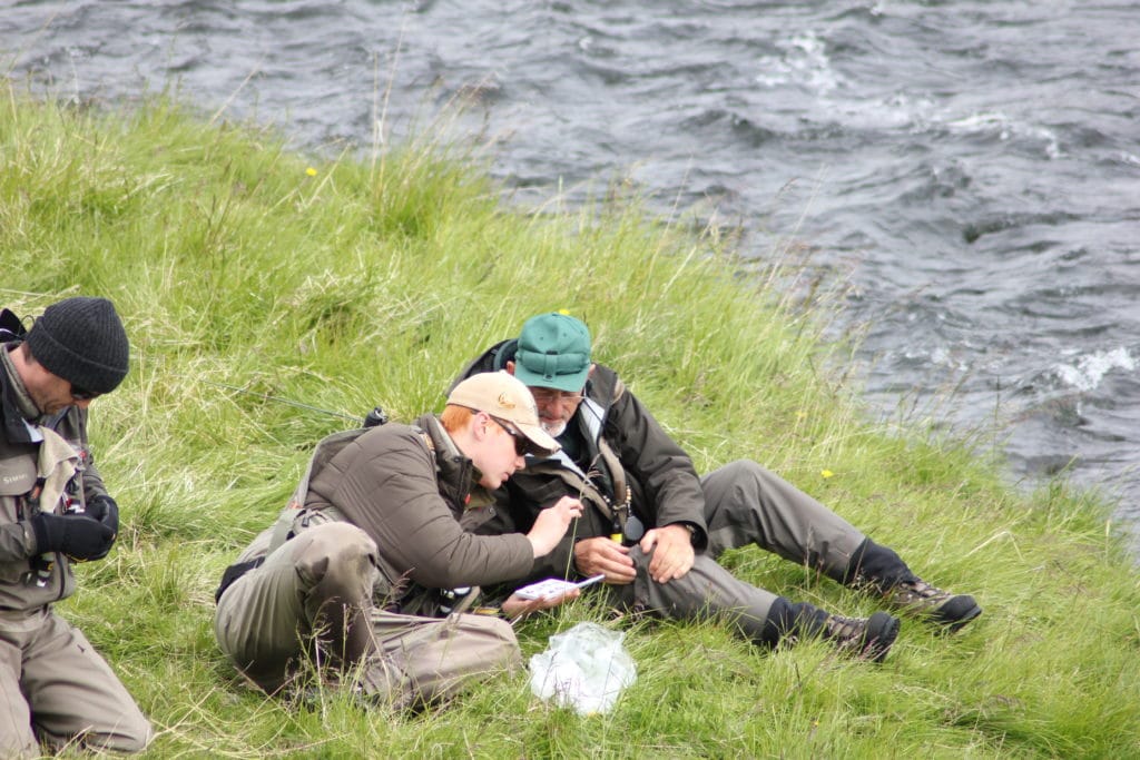 Iceland, trout fishing, laxardal,, laxardalur, travel tips