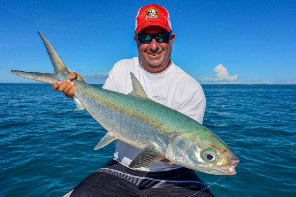 Cosmoldo atoll Seychelles Aardvark McLeod milkfish