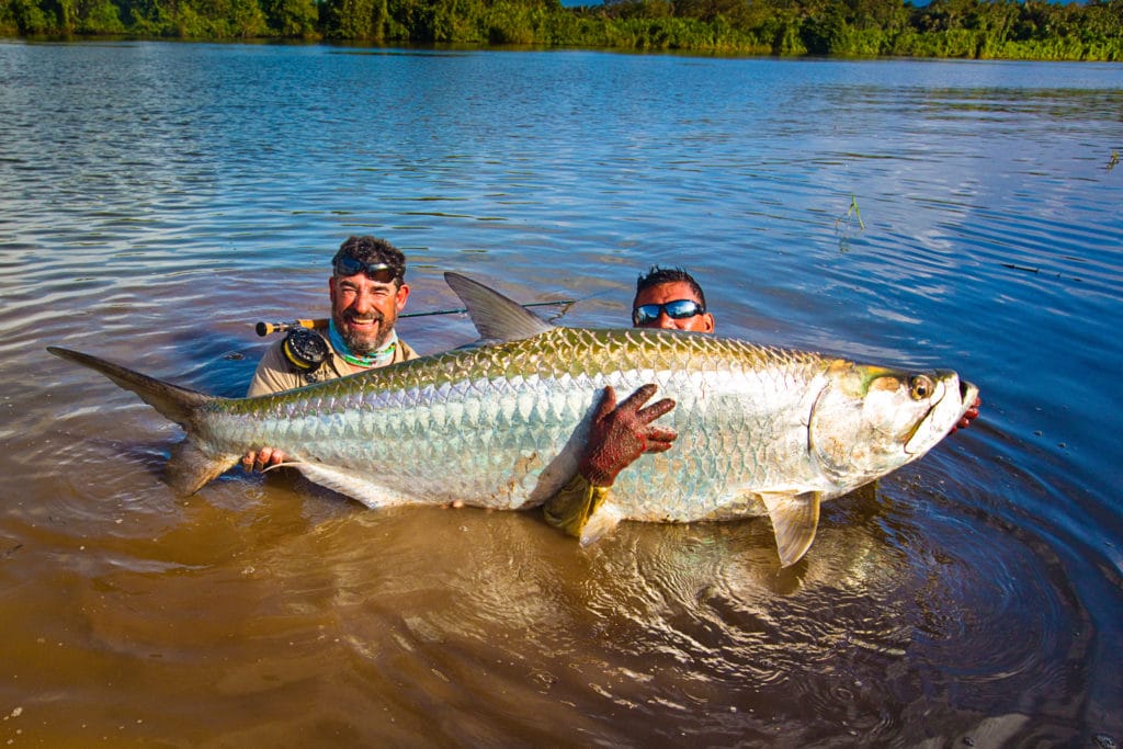 Giant tarpon, Tapam Lodge, Nicaragua