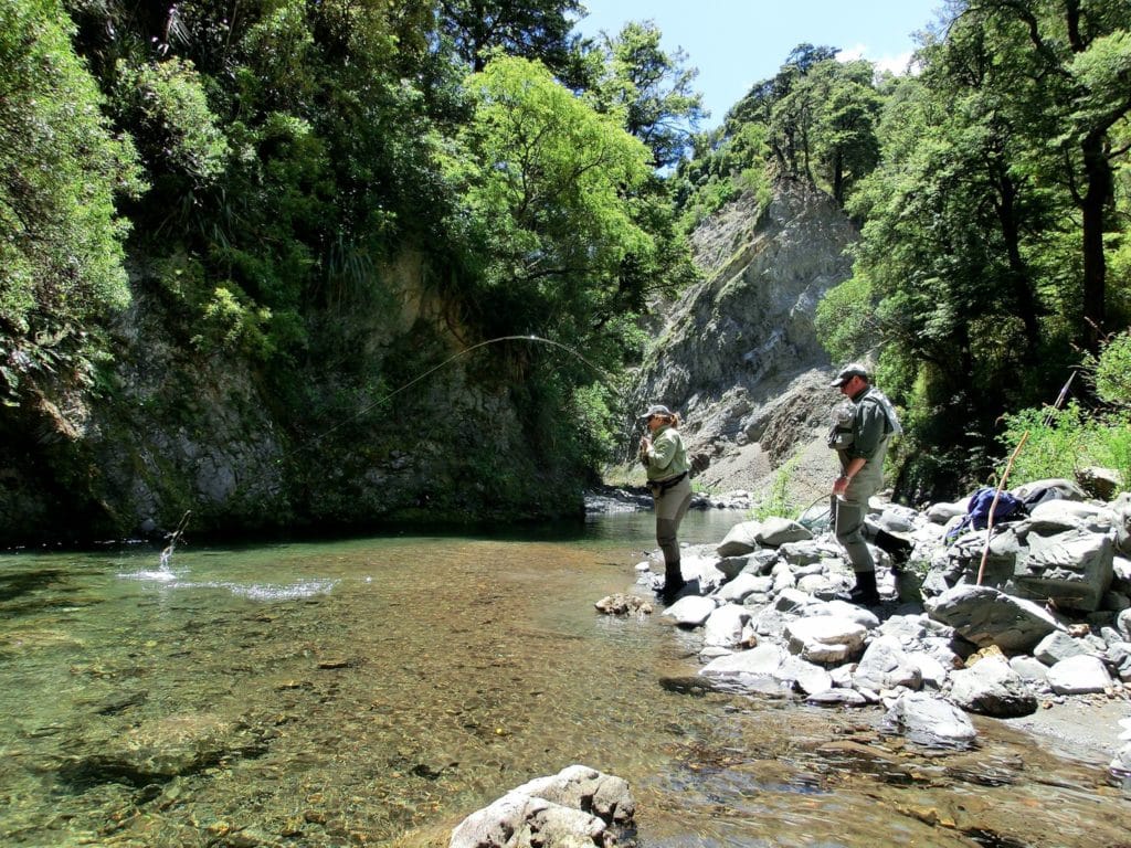 Tongariro Lodge, Tongariro River, New Zealand, Trout fishing, Aardvark McLeod