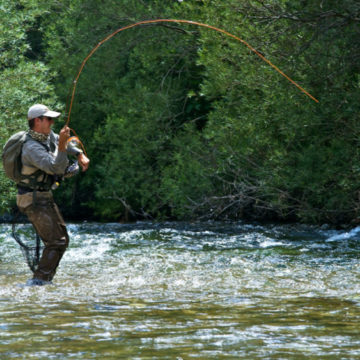 Salvelinus, spain, fly fishing, pyrenees, trout