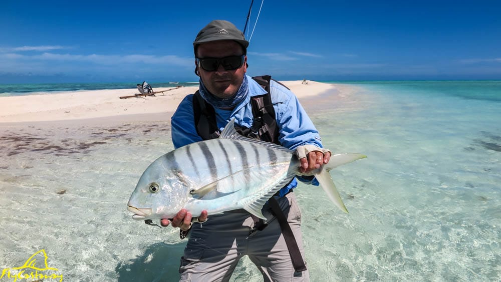 St Brandons, Mauritius, Aardvark McLeod