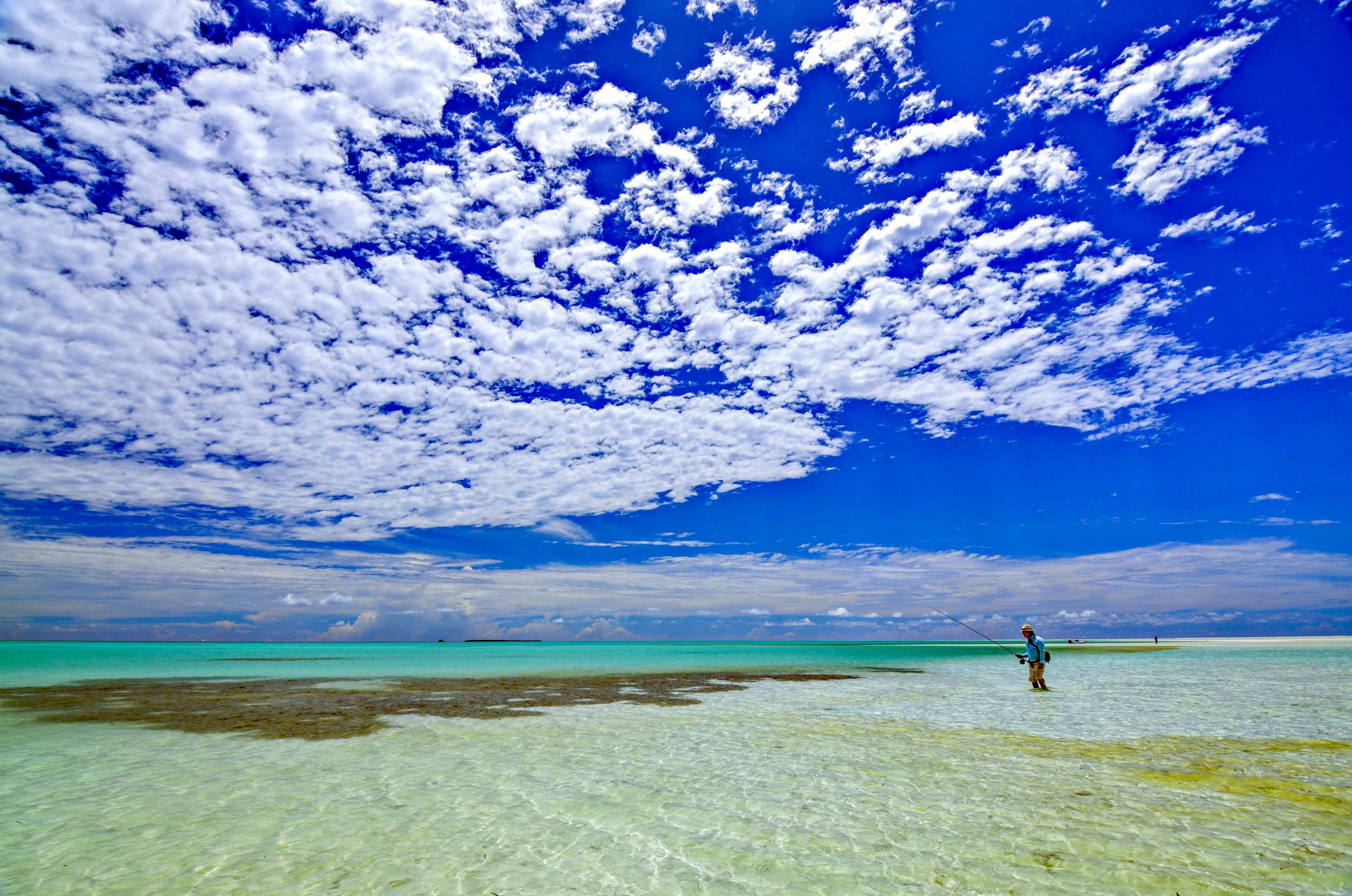 Alphonse Island, Seychelles, Aardvark McLeod