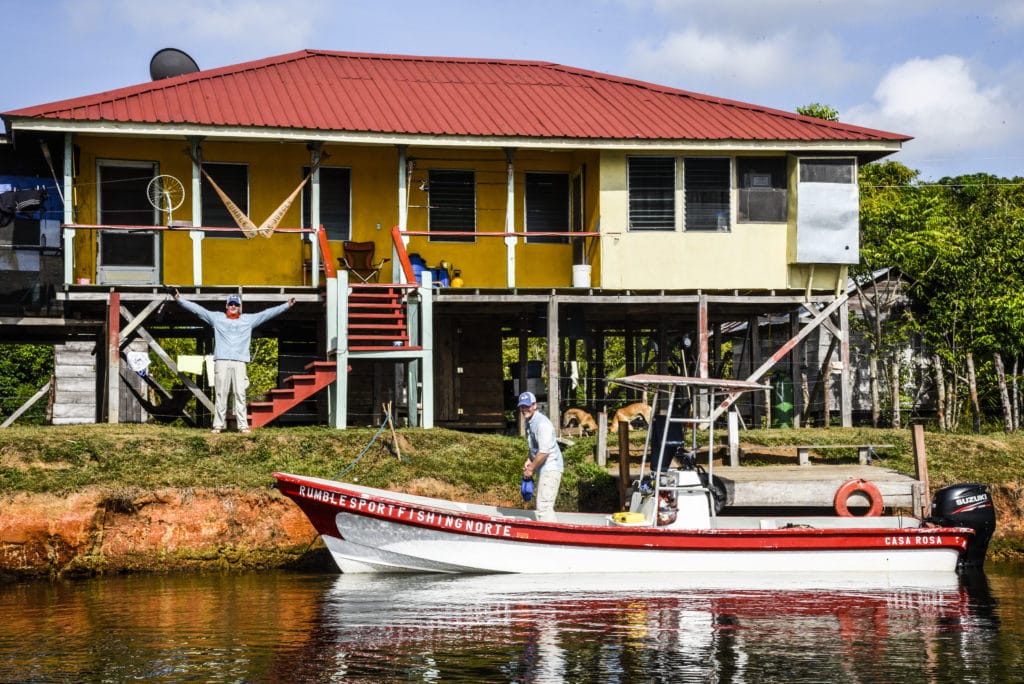 Giant tarpon, Tapam Lodge, Nicaragua